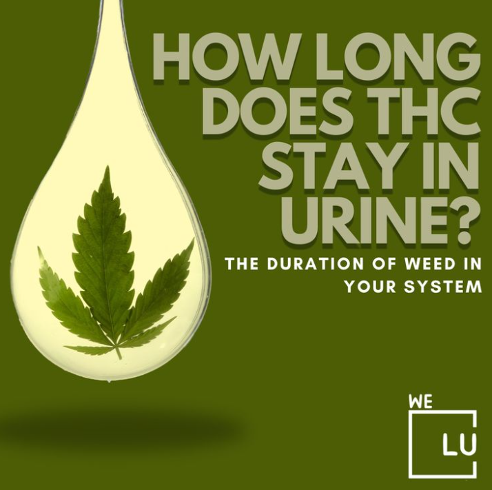 Drug addiction, including THC abuse, can be found using drug tests that check bodily fluids or hair samples. These tests offer essential information to monitor and address substance abuse.