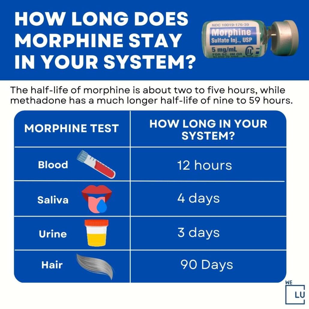 The above chart on “How Long Does Morphine Stay in Your System?” Shows how long morphine shows in different drug tests.