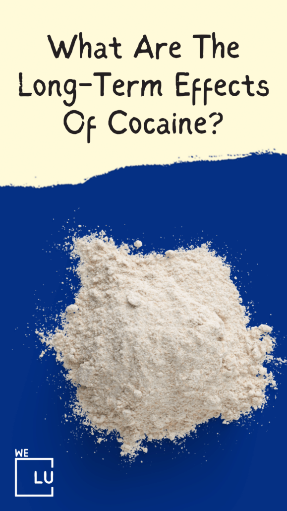 What are the long-term effects of cocaine? Cocaine metabolites in urine stay for 3 to 6 hours after the previous use, regardless of how it was ingested.  How long does cocaine stay in urine?  A minimum of 2 to 3 days is the most common answer, but cocaine may be detectable for two weeks with hefty use.