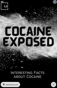 Freebase Cocaine, Risks & Effects Of Freebasing Cocaine