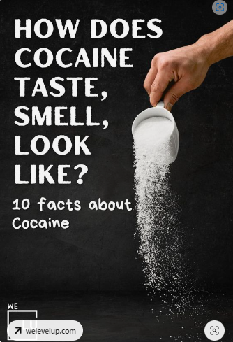 What does cocaine smell like? Cocaine has a mostly pungent odor because of the ether and gasoline used in processing.