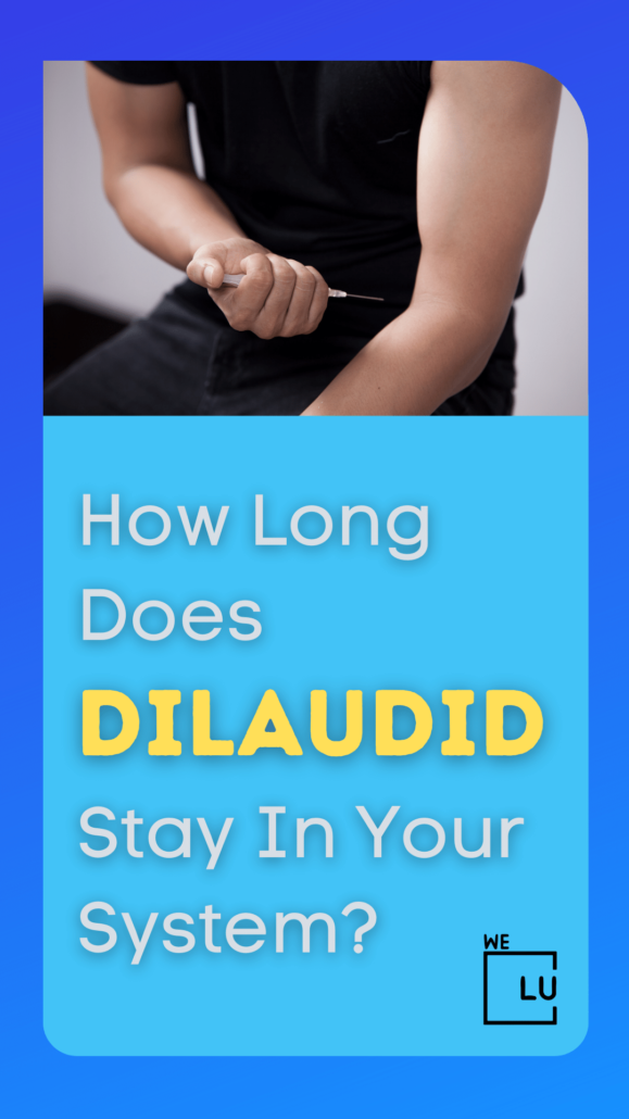 How Long Does Dilaudid Stay In Your System? The terminal elimination half-life of hydromorphone (Dilaudid) after an intravenous dose is about 2.3 hours.