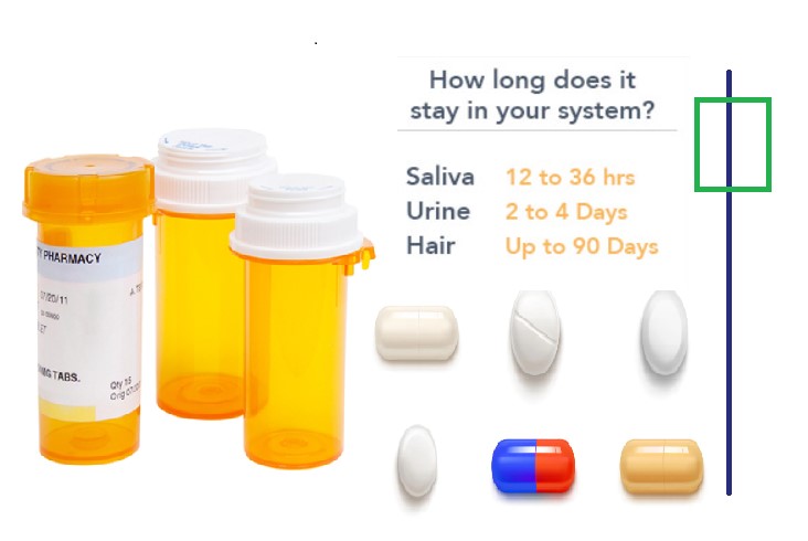 How Long Does Hydrocodone Stay In Urine. If a person has a higher metabolism or drinks a lot of fluids, the detection time can be shorter.
If your doctor has prescribed hydrocodone, it's crucial that you follow his or her instructions. 