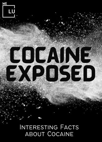 Cocaine was once seen as the illicit substance of choice for the wealthy owing to its high cocaine street value.