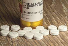 Hydrocodone is an opioid used to treat pain and as a cough suppressant. How long does hydrocodone stay in urine? If you take Hydrocodone every day, it will stay in your body for up to 7 days before being excreted out of your urine.
