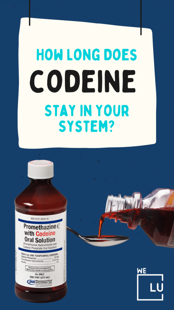 How long does codeine stay in urine? Codeine can be detected in urine for up to three days. Longer detection times may apply to people with codeine dependence and addiction.