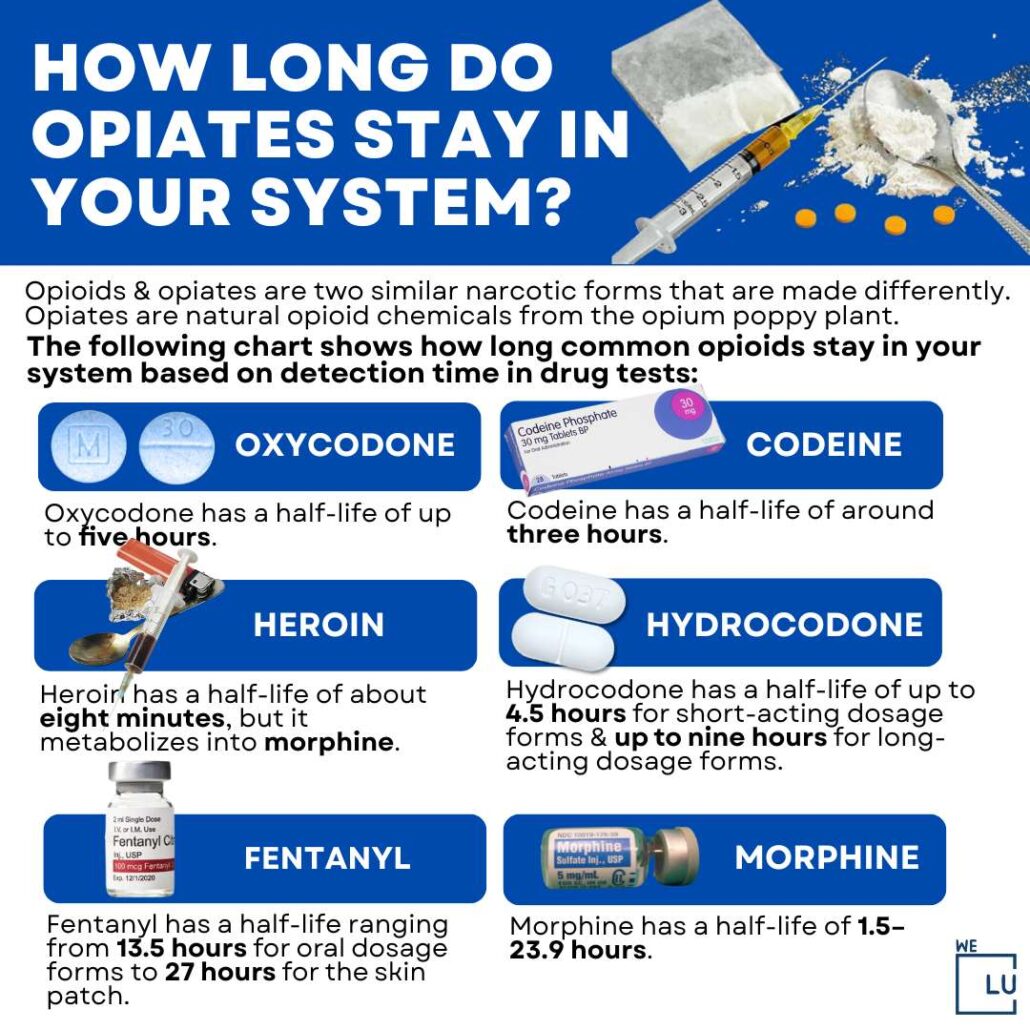 The above chart on “How Long Do Opiates Stay in Your System?” Shows the half-life of 6 common opioids.