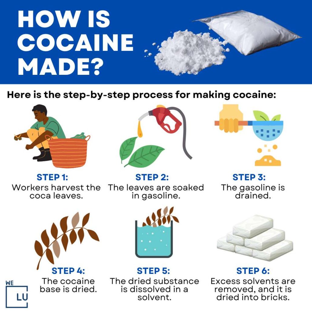 The above chart on “How is Cocaine Made?” Shows the 6 steps of processing coca leaves into cocaine.