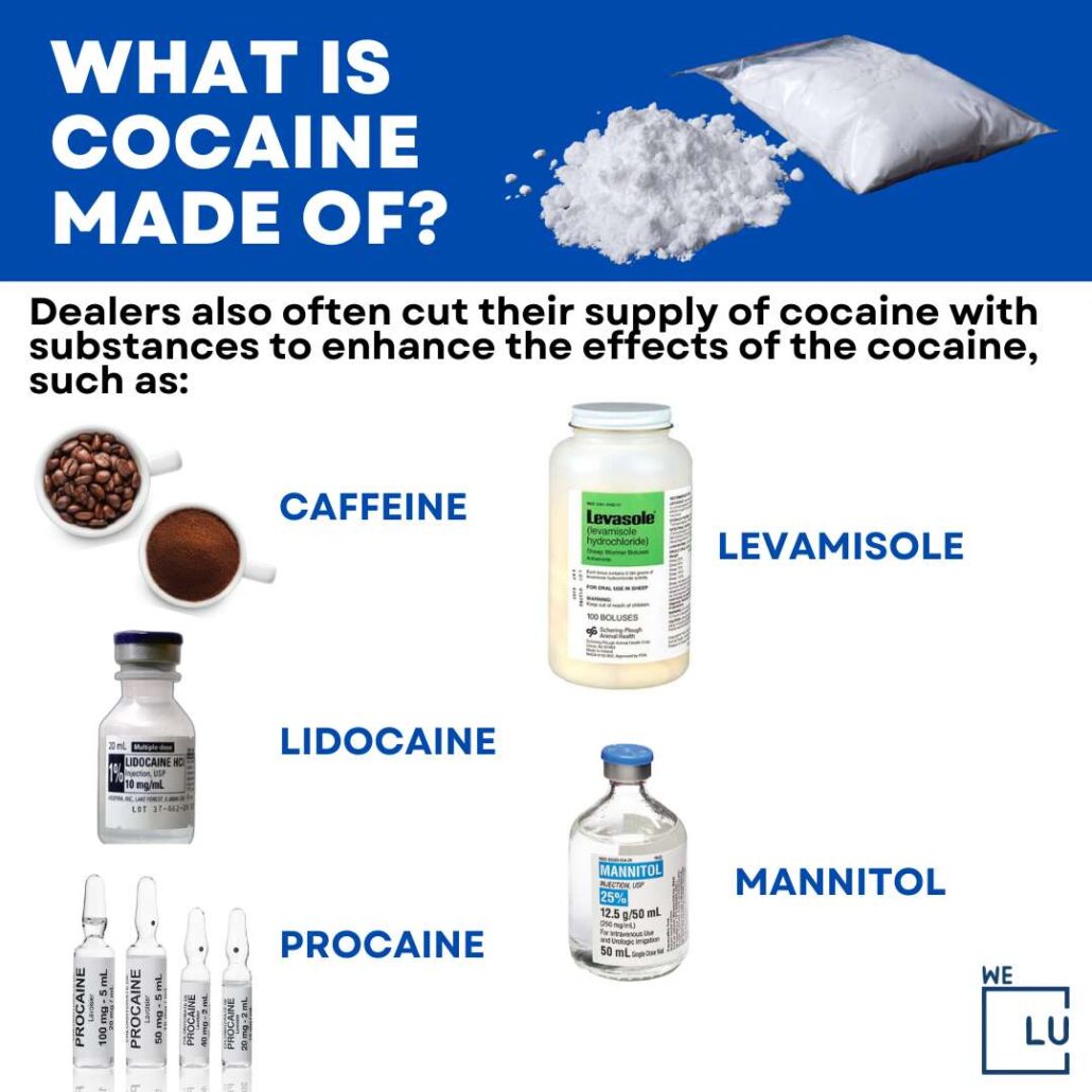 The above chart on “What is Cocaine Made Of?” Shows the 5 substances that dealers mix in their supply to enhance the effects of cocaine.