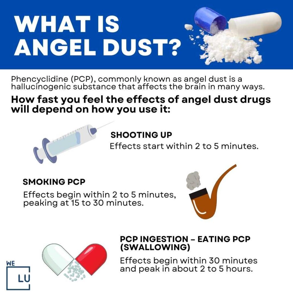 What is PCP? PCP is a powerful hallucinogenic drug. PCP is commonly used as a recreational drug and can produce feelings of euphoria, distortion of perception, and visual and auditory hallucinations. Also called Angel dust, when used n high doses, PCP poses risks to users.  Angel dust drugs cause seizures, coma, and even death.