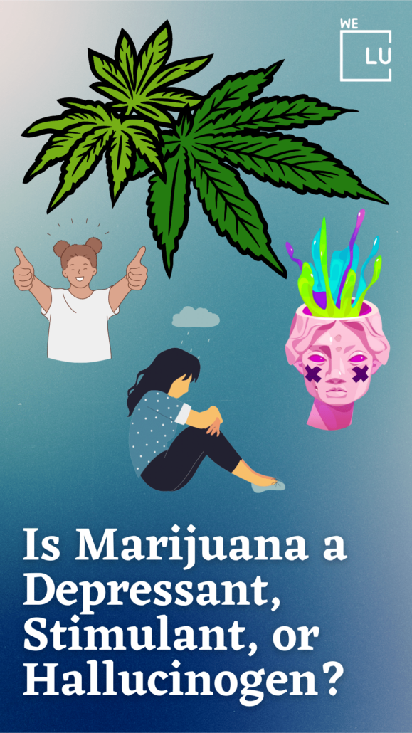 What is marijuana and THC? Marijuana, also known as cannabis, is a psychoactive drug derived from the Cannabis plant. Its main active compound, delta-9-tetrahydrocannabinol (THC), produces various effects when consumed, including relaxation, altered perception, and changes in mood and cognition. THC detoxification is crucial for someone who has developed a dependence on the drug.