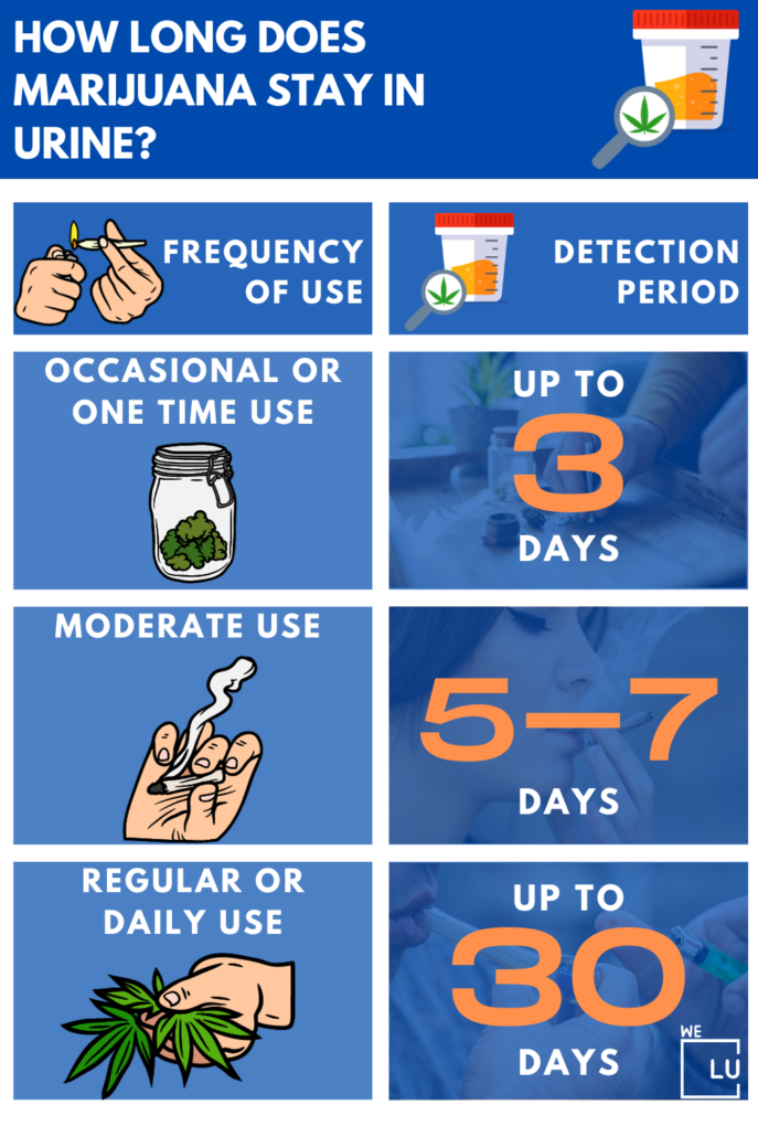 How Long Does Marijuana Stay In Urine? Weed Cannabis Tests
