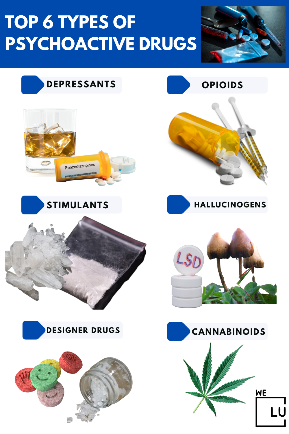 top-6-psychoactive-drugs-definition-uses-type-abuse-risk