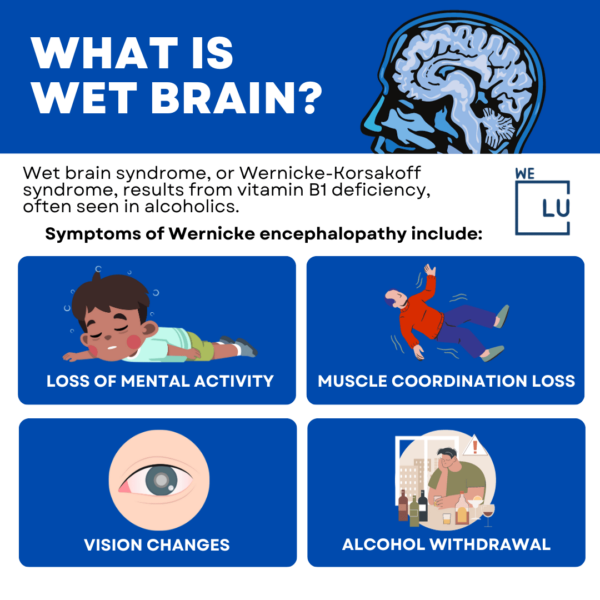 Wet Brain Or Wernicke-Korsakoff Syndrome, Causes, Treatment