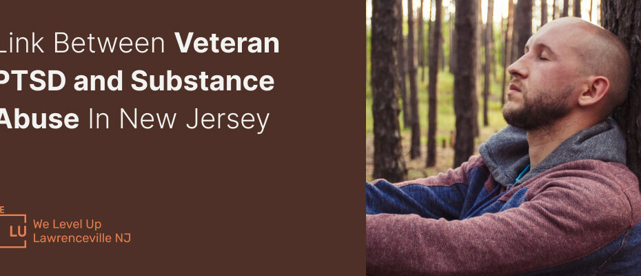 veteran ptsd and substance abuse banner