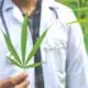 How to Get Weed Out of Your System Quickly