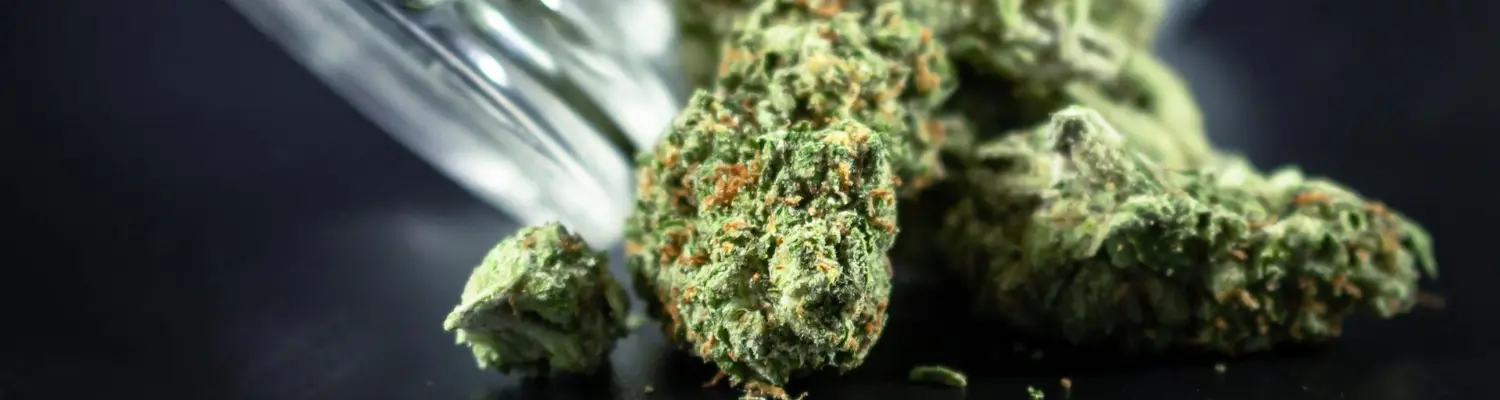 Marijuana on a table